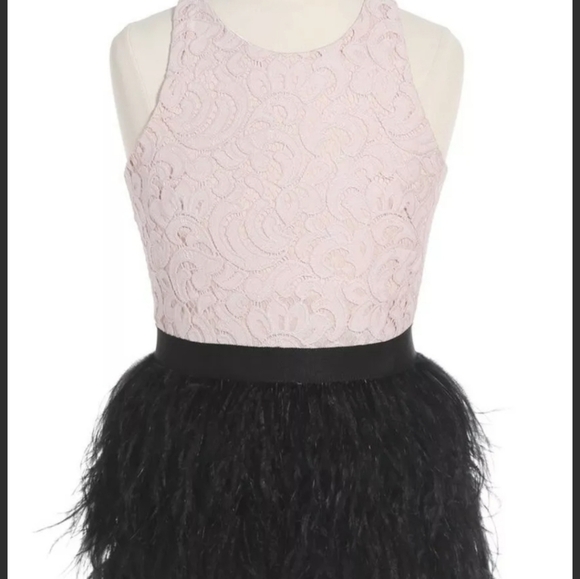 Milly Girls Minu Ostrich Feather Pink Black Formal Cocktail Dress, Size 8 - Picture 3 of 8